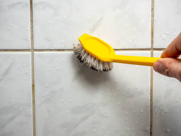 Best Toxic Mold Removal  in Manhattan Beach, CA
