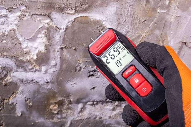 Manhattan Beach, CA Mold Removal Company