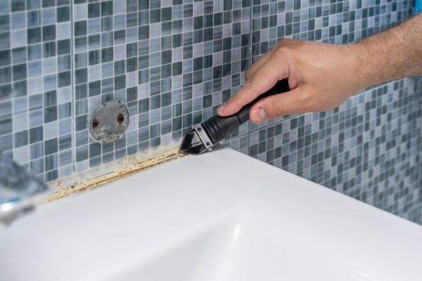 Best Affordable Mold Removal  in Manhattan Beach, CA